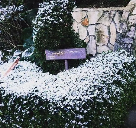 Farm stay Terre Delle Monache *